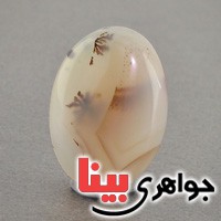 نگین عقیق شجری خوش نقش درشت نگین عقیق شجری خوش نقش درشت