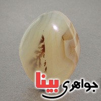 نگین عقیق شجری درشت بسیار زیبا نگین عقیق شجری درشت بسیار زیبا