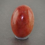 حسینی (خونی) درشت خوشرنگ _کد:18713