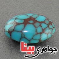 نگین فیروزه شجری کمیاب و فاخر نگین فیروزه شجری کمیاب و فاخر