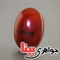 نگین عقیق یمنی منظره ای خوشرنگ زیبا درشت نگین عقیق یمنی منظره ای خوشرنگ زیبا درشت
