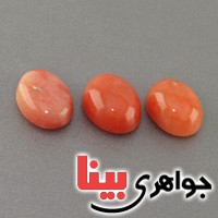 نگین انگشتر دُر خونی (حسینی) درشت سه عددی نگین انگشتر دُر خونی (حسینی) درشت سه عددی