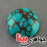 نگین فیروزه شجری درشت خوش نقش نگین فیروزه شجری درشت خوش نقش