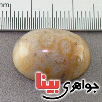 نگین مرجان درشت کلکسیونی نگین مرجان درشت کلکسیونی