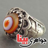 چند پوسته عتیقه _کد:2941 چند پوسته عتیقه _کد:2941