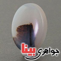 نگین عقیق شجری درشت خوش نقش نگین عقیق شجری درشت خوش نقش