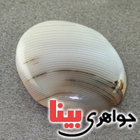 نگین عقیق یمنی شجری درشت خاص نگین عقیق یمنی شجری درشت خاص