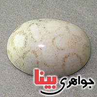 نگین مرجان درشت با خواص عجیب نگین مرجان درشت با خواص عجیب