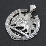 شیر و خورشید زیبا _کد:19579