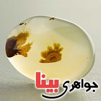 نگین عقیق یمنی شجری خوشرنگ و خاص نگین عقیق یمنی شجری خوشرنگ و خاص