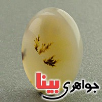 نگین انگشتر عقیق یمنی شجری زیبا نگین انگشتر عقیق یمنی شجری زیبا