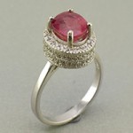 خاص زیبا زنانه برند SPN _کد:19643