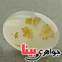 نگین عقیق یمنی شجری زیبا نگین عقیق یمنی شجری زیبا