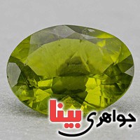 کلکسیونی فاخر _کد:19680 کلکسیونی فاخر _کد:19680