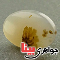 نگین عقیق یمنی شجری زیبا نگین عقیق یمنی شجری زیبا