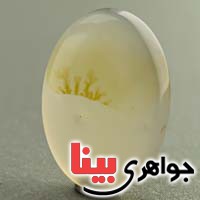 نگین عقیق یمنی شجری زیبا نگین عقیق یمنی شجری زیبا