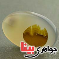 نگین عقیق یمنی شجری خوش نقش نگین عقیق یمنی شجری خوش نقش