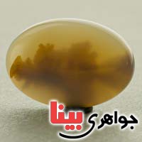 نگین عقیق یمنی شجری خوش نقش نگین عقیق یمنی شجری خوش نقش
