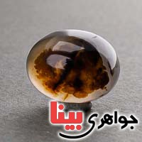 نگین عقیق یمنی شجری ناب خوش نقش نگین عقیق یمنی شجری ناب خوش نقش