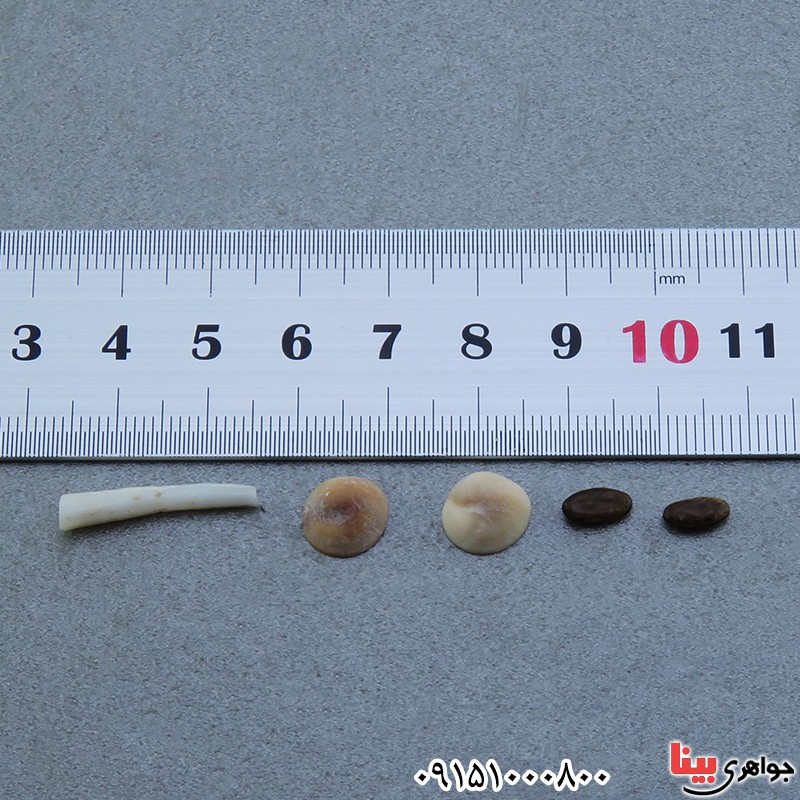 گردنبند صدف مهره مار ناب و اصلی به همراه کیف چرمی _کد:20144