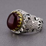 مردانه سرخ بسیار زیبا _کد:20304