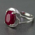 زنانه بسیار خاص برند SPN _کد:20429