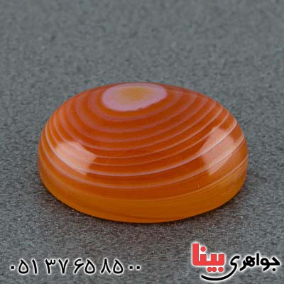چند پوست درشت بسیار زیبا _کد:20784 چند پوست درشت بسیار زیبا _کد:20784