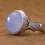 مردانه بسیار عالی _کد:21273
