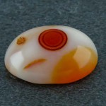 تاپ بسیار خاص _کد:21652