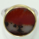دو طرح