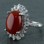 زنانه بسیار زیبا _کد:22599