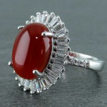 زنانه بسیار شیک _کد:22600