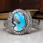 نیشابوری رودیوم زنانه _کد:22851