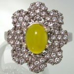 طرح گل زنانه