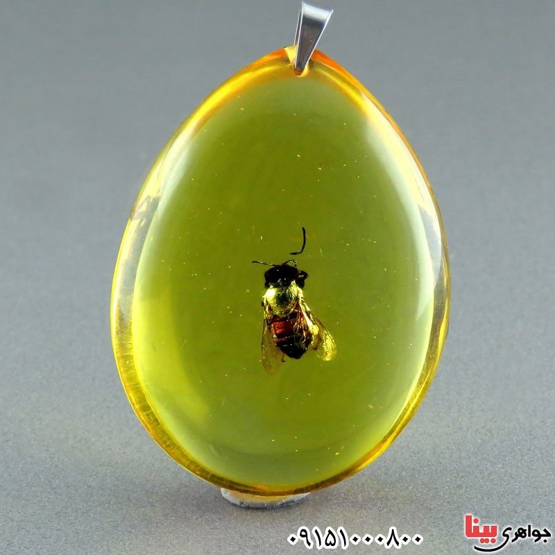 گردنبند کهربا زیبا و خوشرنگ _کد:23802