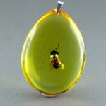 زیبا و خوشرنگ _کد:23802