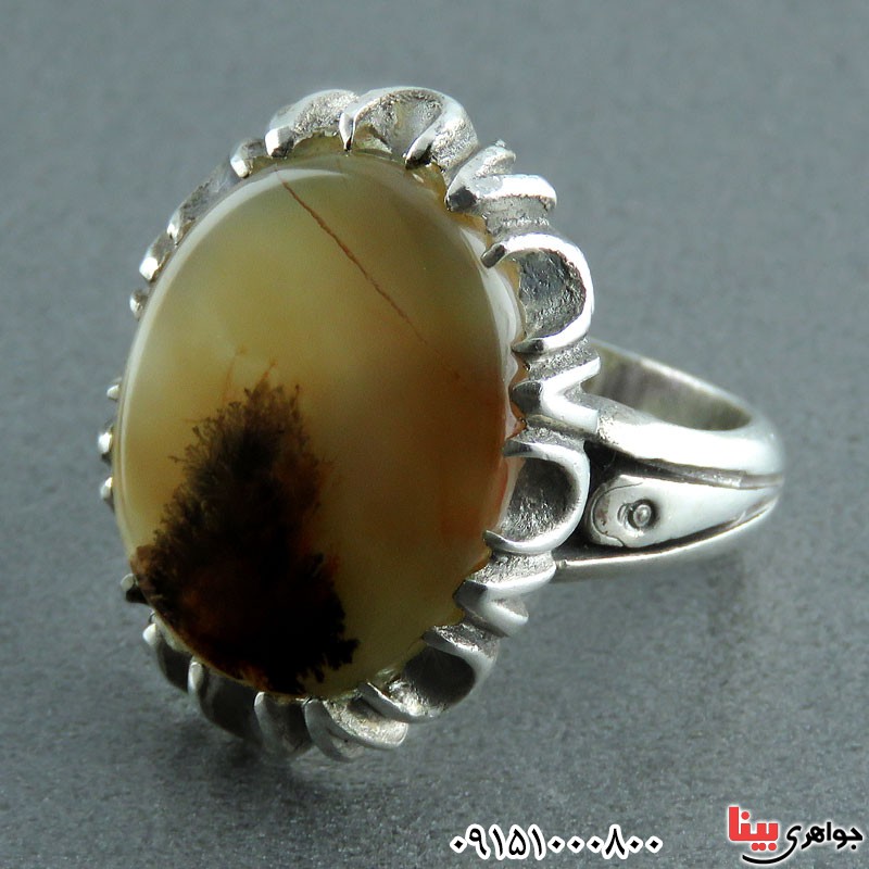 انگشتر عقیق شجری طبیعی خوشرنگ مردانه _کد:23844