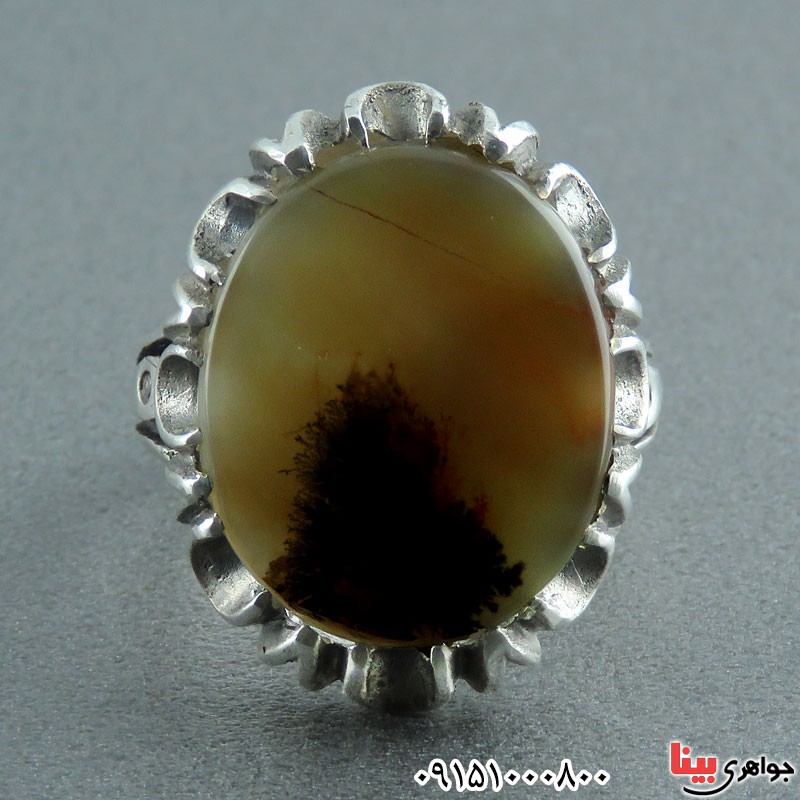 انگشتر عقیق شجری طبیعی خوشرنگ مردانه _کد:23844