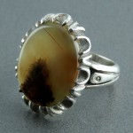 طبیعی خوشرنگ مردانه _کد:23844