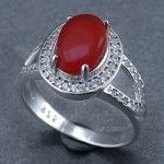 زنانه بسیار خاص _کد:24383