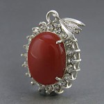 خوشرنگ و خاص زنانه _کد:25054