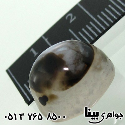 نگین انگشتر عقیق شجری چشمی