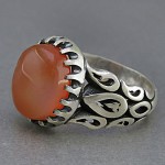 خوشرنگ مردانه بسیار زیبا _کد:25407