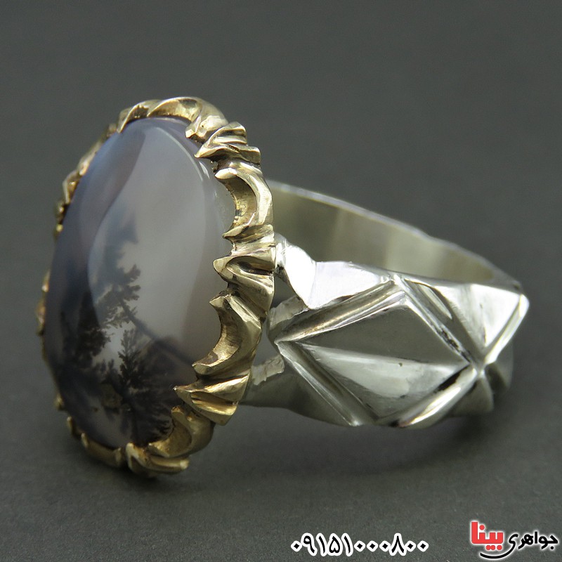 انگشتر عقیق شجری طبیعی اصل قائن تک درخت _کد:26078