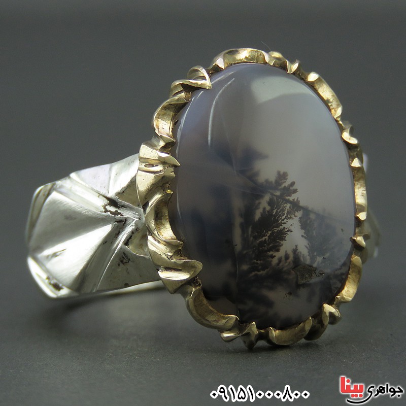 انگشتر عقیق شجری طبیعی اصل قائن تک درخت _کد:26078