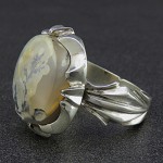شجری طبیعی خاص بسیار زیبا _کد:26326