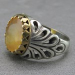 آفریقایی خوشرنگ تاج برنجی _کد:26797