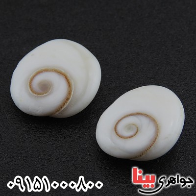 نگین صدف (مهره مار) درشت و خاص نگین صدف (مهره مار) درشت و خاص