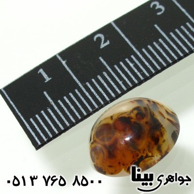 نگین انگشتر عقیق شجری خوش نقش 9