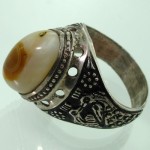 مردانه طاووس درشت